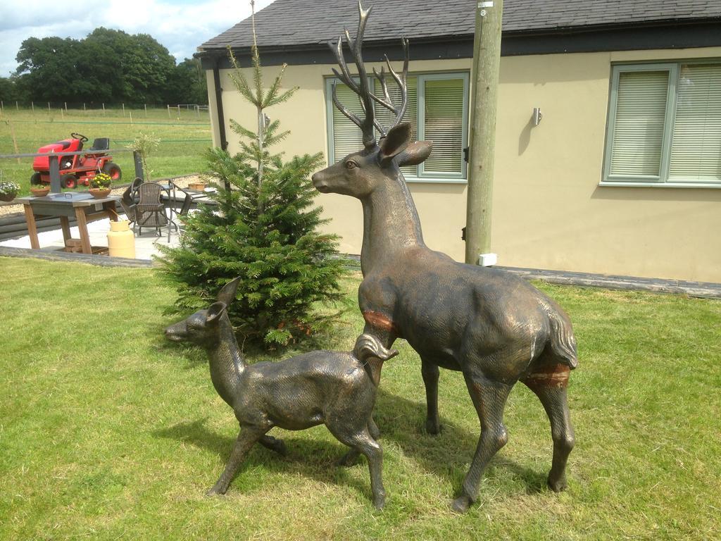 Bed and Breakfast The Stables - Deer Park Farm Solihull Esterno foto